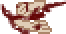 Arms