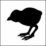 Pollos.jpg