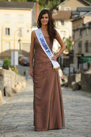 Fichier:Limousin2011.jpg