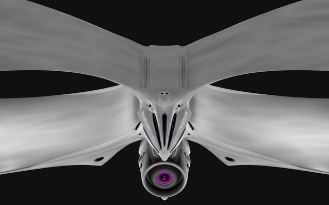 File:Moth8.png