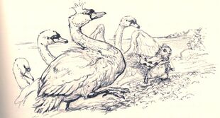 Scan0012-1