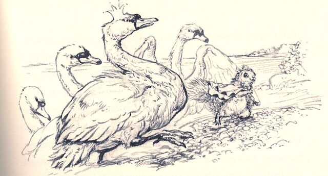 File:Scan0012-1.jpg