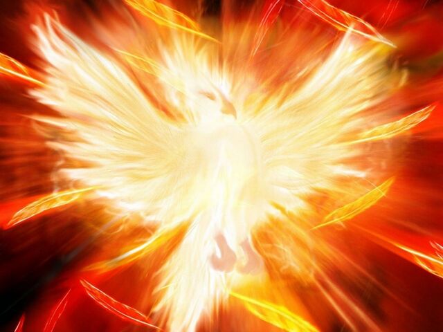 Archivo:Fenix.jpg