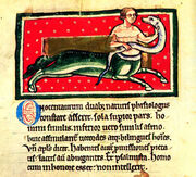 Onocentauro.jpg