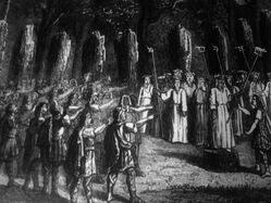 2 07 02 2009 druidas bosque.jpg