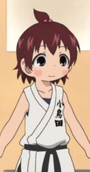 Kotorida