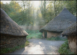 Celtic village