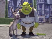 Shrek 07