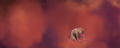 Thumbnail for version as of 02:12, April 27, 2011