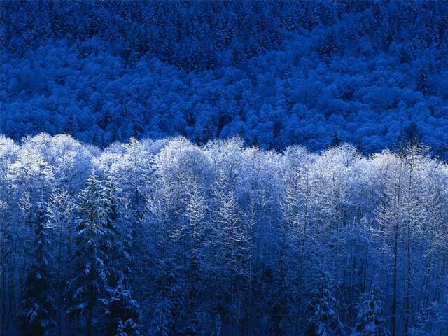 File:Winter.jpg