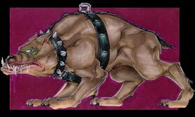Netherrealm Hound
