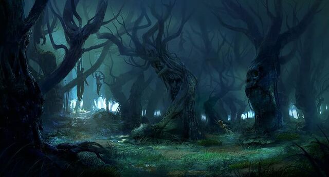 File:The Living Trees of the Living Forest.jpg