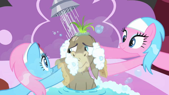 File:Spa ponies scrubbing Cranky S2E18.png