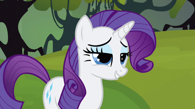 File:Rarity show us S3E9.png