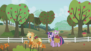 Applejack and Twilight S01E03.png