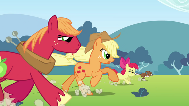 File:Applejack, Big McIntosh, Apple Bloom and Winona running S3E03.png