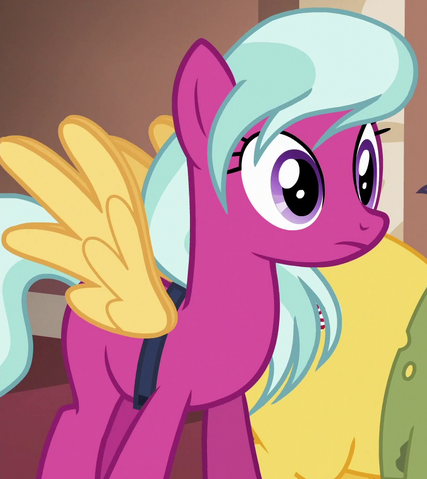 File:Ocean Spray ID S6E13.png