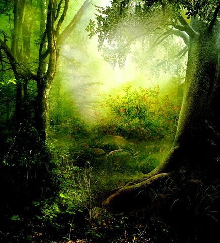 File:Enchanted Forest Premade by frozenstocks.jpg
