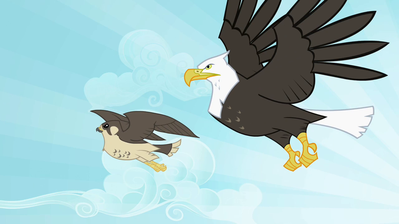 Image - Eagle and falcon flying S2E07.png | My Little Pony Friendship
