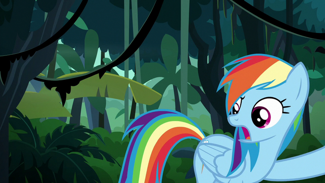 File:Rainbow Dash "you said go over him!" S6E13.png