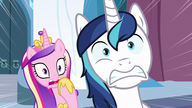 File:Cadance and Shining Armor shocked S6E2.png