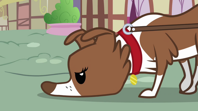 File:Winona sniffing the ground S3E11.png