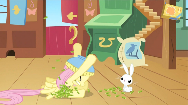 File:Fluttershy bowl1 S02E19.png
