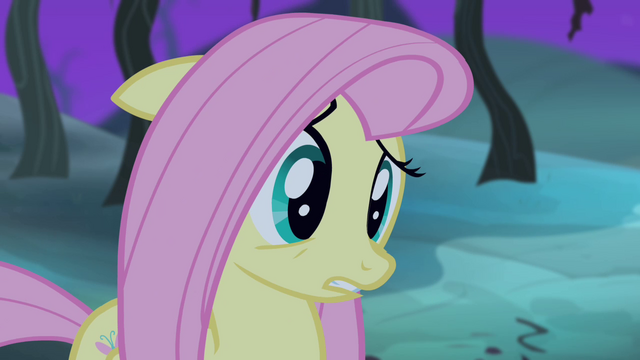 File:Fluttershy "I did" S4E07.png