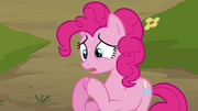 Pinkie Pie's duplicate worried S3E03.png