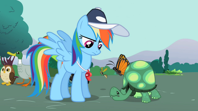 File:Rainbow Dash looking at Tank 2 S2E07.png