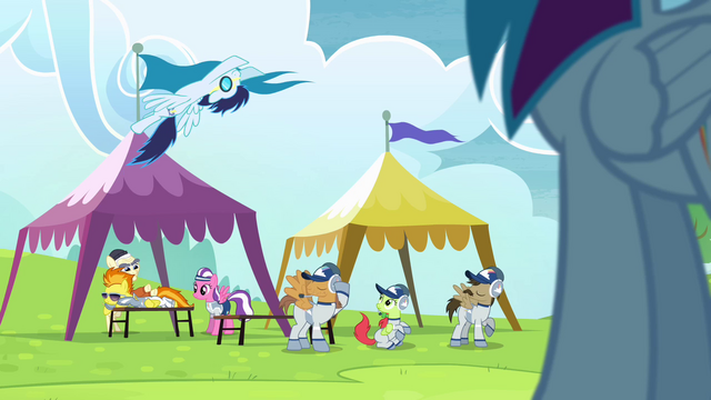 File:Soarin is flying S4E10.png