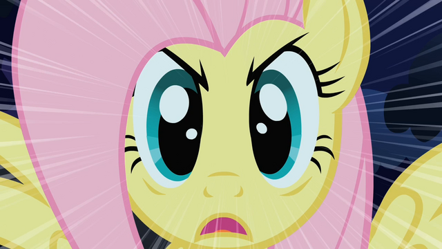 File:Fluttershy Stare S01E17.png