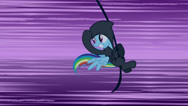 File:Rainbow Dash taunting her persecutors S2E16.png