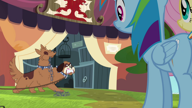 File:Rainbow and Fluttershy approach ancient beast stall S4E22.png
