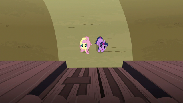 File:Twilight "there are four Alicorn princesses" S5E23.png