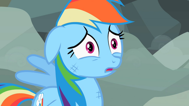 File:Rainbow Dash worried S2E07.png