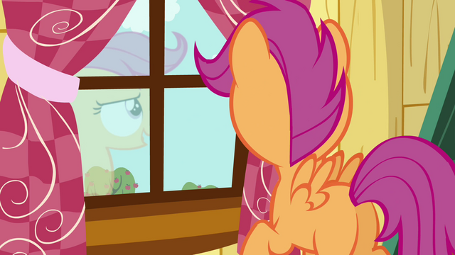 File:Scootaloo looking out of the window S3E06.png