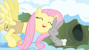 Fluttershy-Pony.jpg