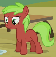 Red June ID S3E8
