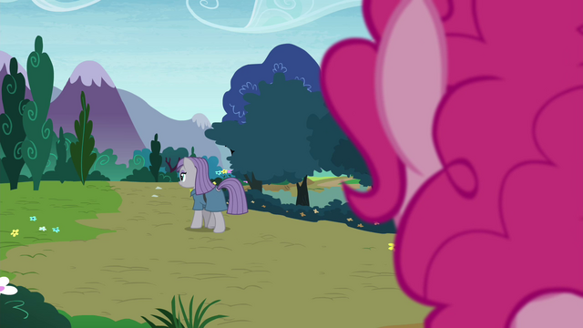 File:Pinkie watching Maud leave S4E18.png