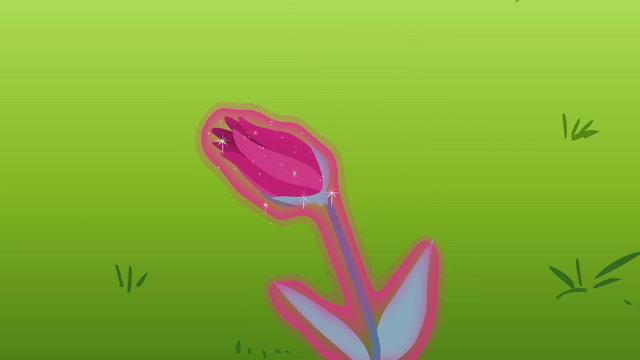File:The flower is closed S3E05.png