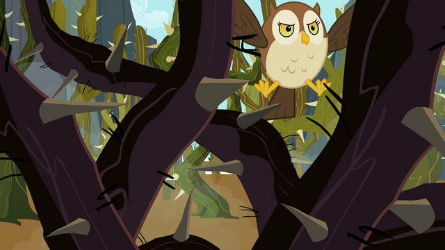 File:Owl can't see a way through the vines S2E07.png