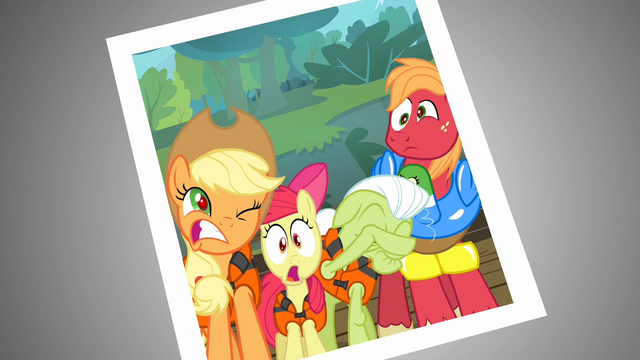 File:Photo of the Apples S4E09.png