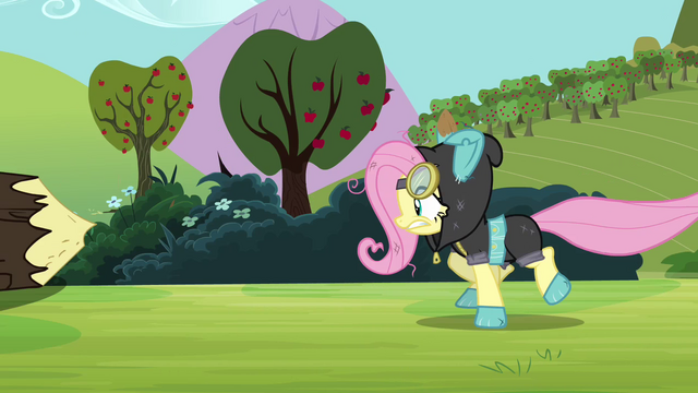 File:Fluttershy running S3E05.png