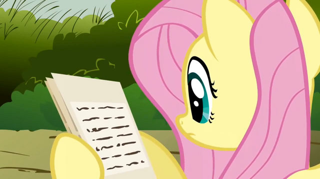 File:Fluttershy pamphlet S02E19.png