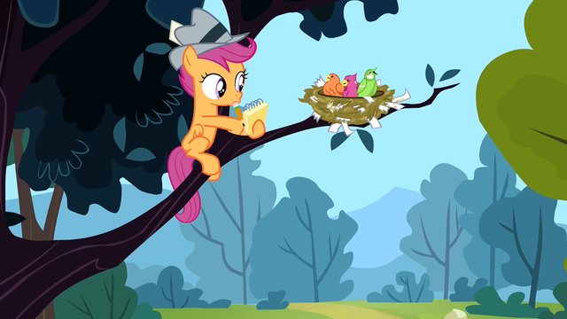 File:Scootaloo and birds S2E23.png