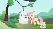 Fluttershy ''está perdido'' T4E23.png