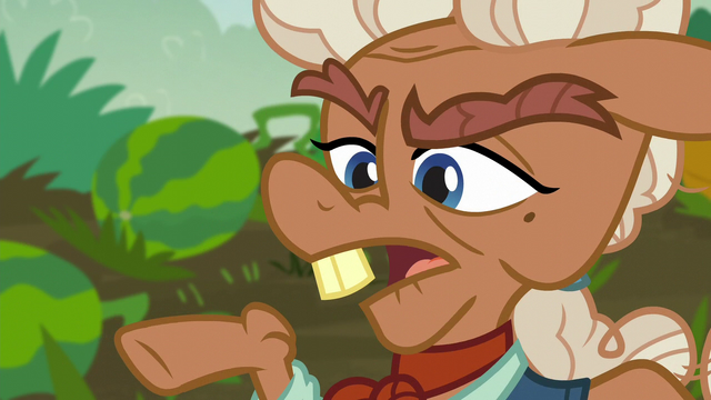 File:Ma Hooffield "if you smoosh them tomaters" S5E23.png