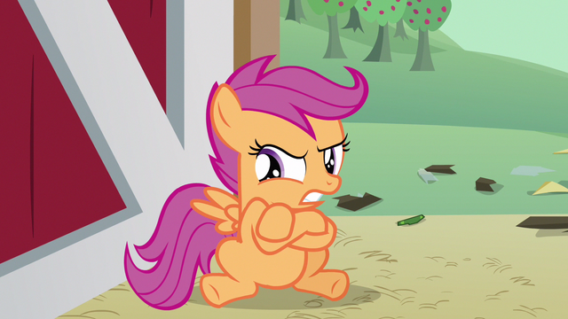 File:Scootaloo not babies! S3E4.png