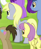 Derpy Hooves Earth pony ID S4E22